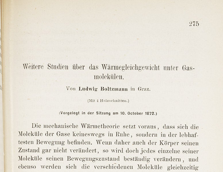 boltzmann, 2/16/18, 8:38 AM,  8C, 4796x8000 (243+0), 100%, Custom,  1/60 s, R84.8, G71.3, B80.7