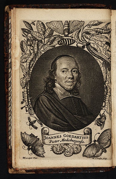 Portrait of Johannes Goedaert, engraved frontispiece, Metamorphosis, 1662-69 (Linda Hall Library)