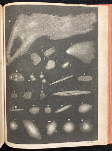The variety of nebulous celestial objects, first mezzotint accompanying "Astronomical Observations relating to the Construction of the Heavens," by William Herschel, Philosophical Transactions of the Royal Society of London, vol. 101, 1811, plate 4, p. 336, 1811 (Linda Hall Library)