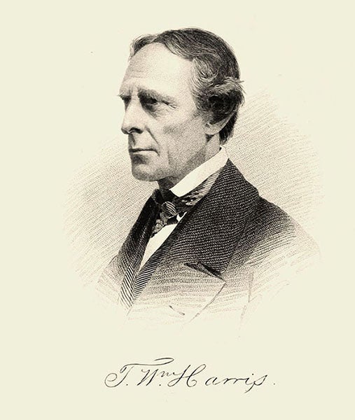Portrait of Thaddeus William Harris, from Entomological Correspondence of Thaddeus William Harris, M.D., ed. by Samuel H. Scudder, 1869 (Wikimedia commons)