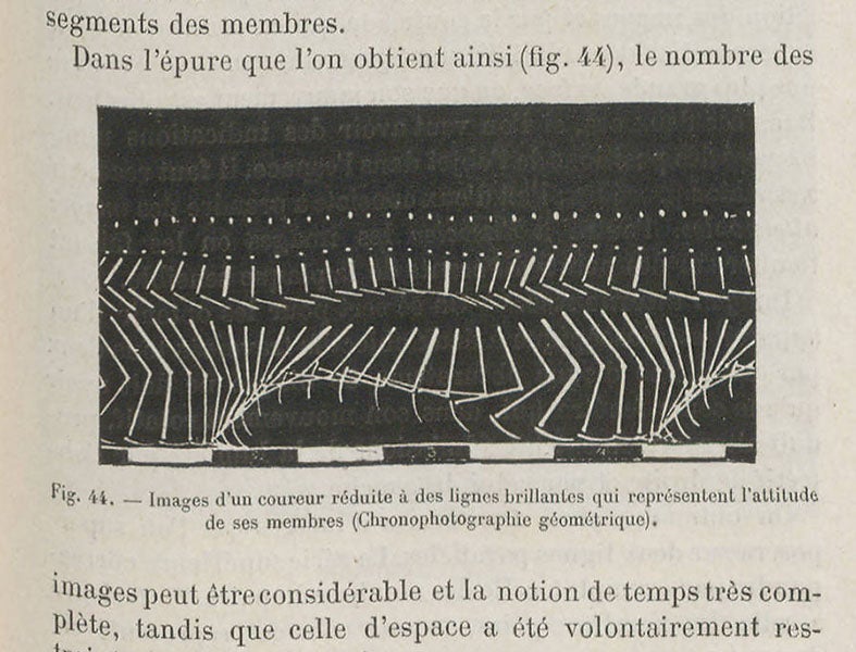 Stick figure running, geometric chronophotograph, Étienne-Jules Marey, Le movement, 1894 (Linda Hall Library)