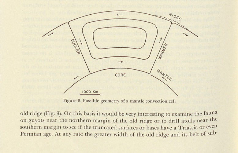 Diagram of possible convection currents in the mantle that causes magma to upwell at mid-oceanic ridges, Harry Hess, “History of Ocean Basins,” in Petrologic Studies, ed. by A.E.J. Engel et al, 1962 (Linda Hall Library)
