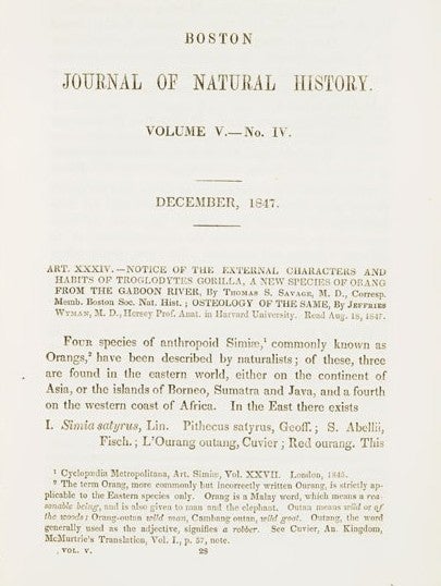 Savage and Wyman’s paper. Image source: Savage, Thomas S. "Notice of the External Characters and Habits of Troglodytes gorilla.”; Wyman, Jeffries. “Osteology of the Same.” Boston Journal of Natural History, vol. 5, 1847, p. 417.