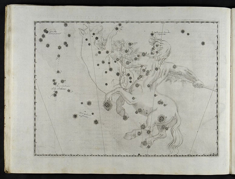 The constellation Centaurus in Johann Bayer, Uranometria, 1603 (Linda Hall Library)