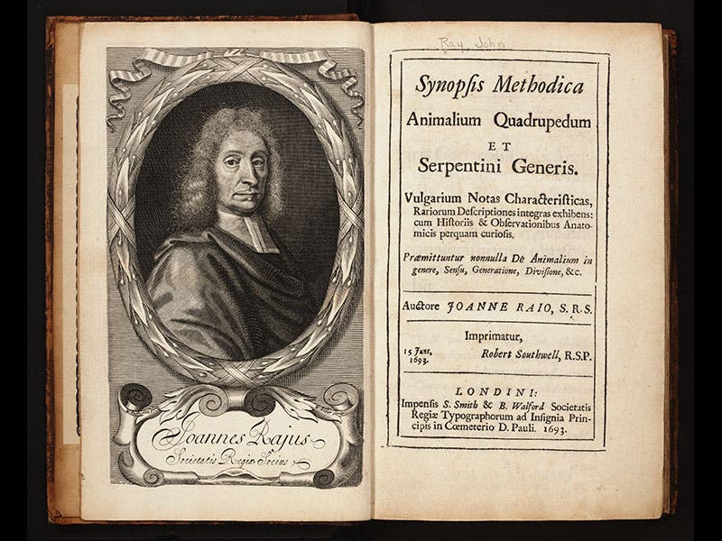 John Rey Philosopher Scientist of the Day - John Ray, English Naturalist and Cleric - The ...