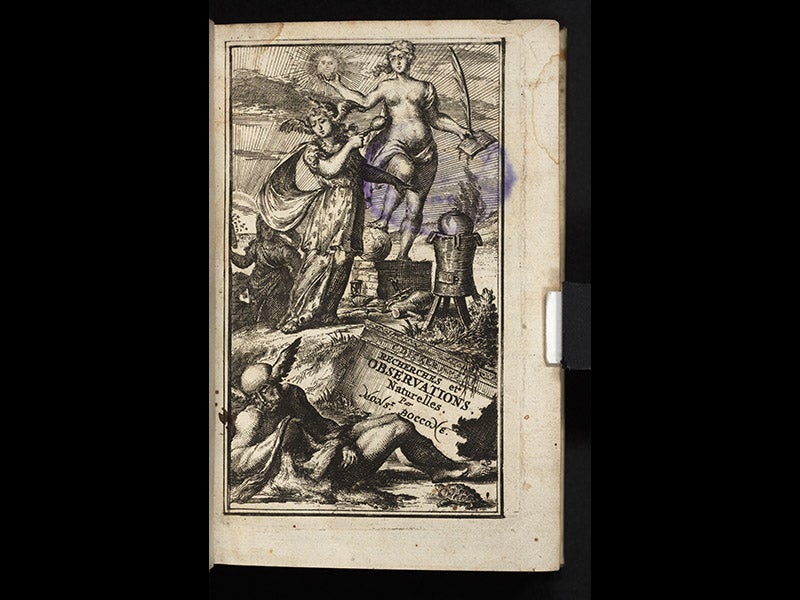 etp08001, 5/6/10, 12:00 PM,  8C, 5088x8000 (700+0), 100%, Custom,  1/60 s, R74.4, G62.4, B72.9