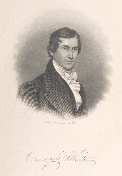 Portrait of Canvass White, engraving by W.G. Jackman, in Charles B. Stuart, <i>Lives and Works of Civil and Military Engineers of America</i>, 1871 (Linda Hall Library)