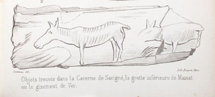 Detail of carved art on bone. Image source: Lartet, Edouard. "Nouvelle recherches sur la coexistence de l'homme et des grands mammiferes fossils..." Annales des sciences naturelles, 4th ser., Zoologie et Paleontologie, vol. 15, 1861, pl. 13.