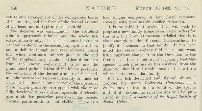 Second and last page of “A living fish of Mesozoic type,” by J.L.B. Smith, where the coelacanth is named Latimeria chalumnae, Nature, vol. 143, 1939 (Linda Hall Library)