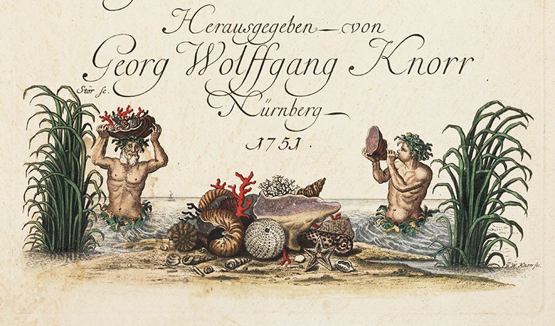 Title-page vignette, engraving, in Georg Wolfgang Knorr, <i>Deliciae naturae selectae</i>, 1766-67 (Linda Hall Library)
