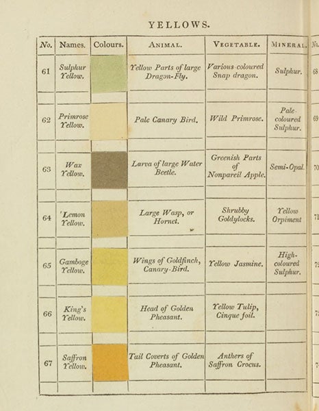 First page of “Yellows,” including “gamboge yellow” (fifth color down), which Parker Cleaveland used to color the alluvial rocks on his geological map, Werner's Nomenclature of Colours, by Patrick Syme, 1814 (Linda Hall Library)