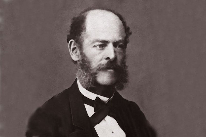 Portrait of Marcelino Sanz de Sautuola, Real Academia de la Historia (dbe.rah.es)