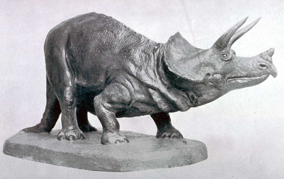Triceratops model made by Charles Knight. This work was on display in the original exhibition as item 23. Merrill, George P. "Report on the Department of Geology for the Year 1900-1901," in: Annual Report of the Board of Regents of the Smithsonian Institution. Report of the U. S. National Museum, for the year ending June 30, 1901, pl. 71.