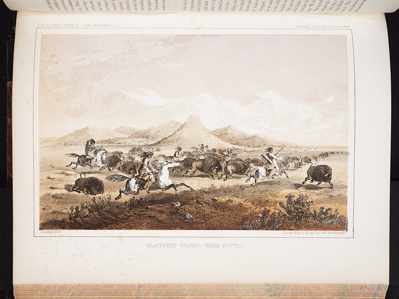 1112_003, 1/12/18, 10:51 AM,  8C, 6000x8000 (0+0), 100%, Custom,  1/60 s, R63.2, G50.9, B60.2