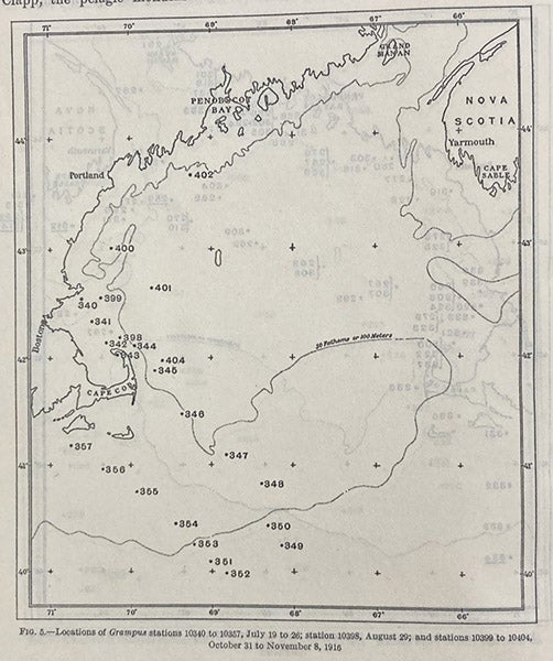 Map of Grampus stations visited in the Gulf of Maine in 1916, in “Plankton of the offshore waters of the Gulf of Maine,” Bulletin of the U.S. Bureau of Fisheries, by Henry Bryant Bigelow, vol. 40, pt. 2, p. 10, 1924 (Linda Hall Library)