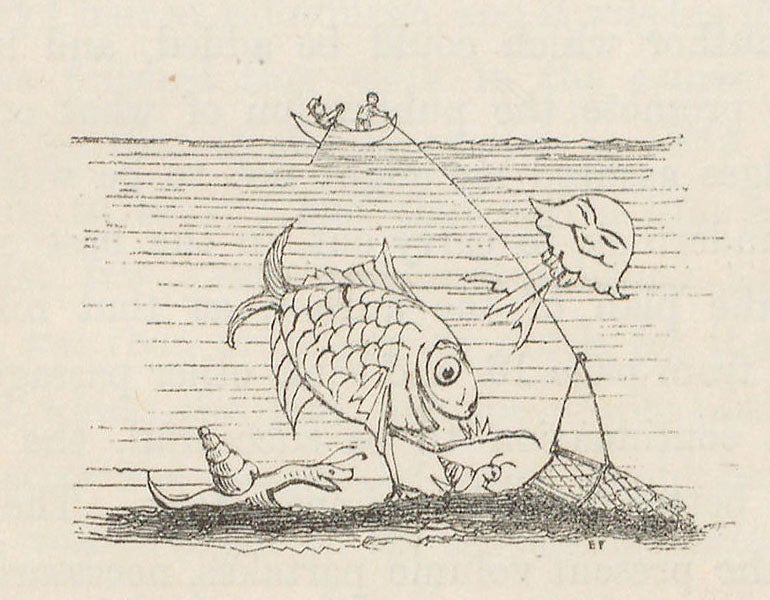 A deep-sea dredge in action, tailpiece by Edward Forbes, detail of fifth image (Linda Hall Library)