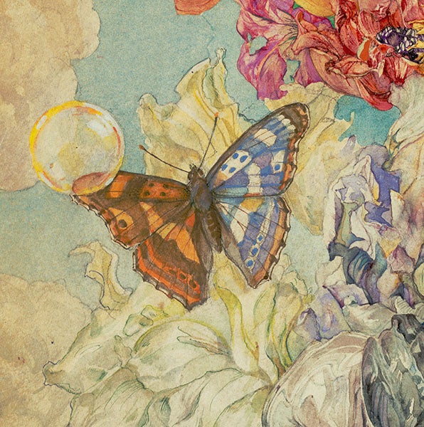 Detail of butterfly, from Iridescence, graphite, pen and ink, and watercolor on paper, by Andrey Avinoff, 1925-47, Carnegie Museum of Art, Pittsburgh (carnegieart.org/exhibition)