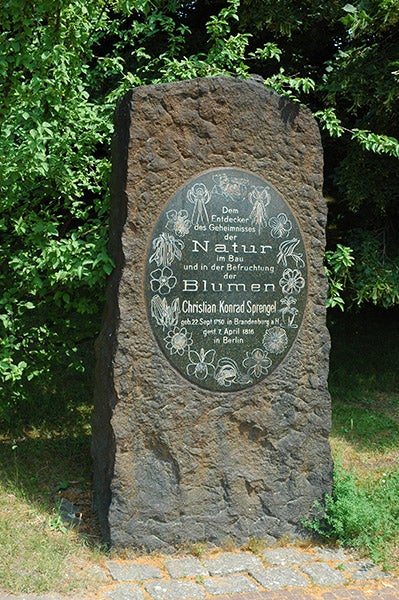 Plaque honoring Christian Konrad Sprengel at the Berlin Botanical Garden (bgbm.org)