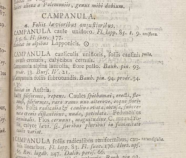 Detail of fourth image, with the species names of the Campanula genus indicated in italics at the right, Species plantarum, by Carl Linnaeus, vol. 1, p. 153, 1753, (Linda Hall Library)
