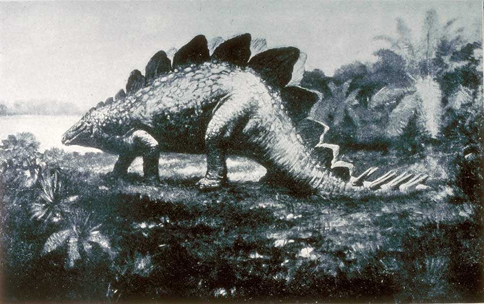 Stegosaurus illustration by Knight. This work was on display in the original exhibition as item 27, but it is not opened to either of these two plates. Image source: Lucas, Frederick A. "The Dinosaurs or terrible lizards," in: Annual Report of the Board of Regents of the Smithsonian Institution, for the year ending June 30, 1901, pl. 4.