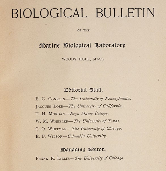 Masthead of the Biological Bulletin, 1903, including the names of Edmund Beecher Wilson and Thomas Hunt Morgan (Linda Hall Library)