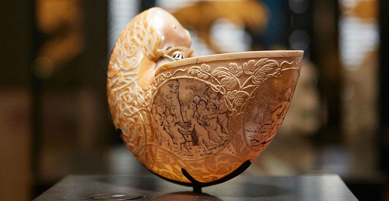 Carved nautilus shell, acquired by Hans Sloane and bequeathed to the British Museum, recent photograph, Natural History Museum (nhm.ac.uk)