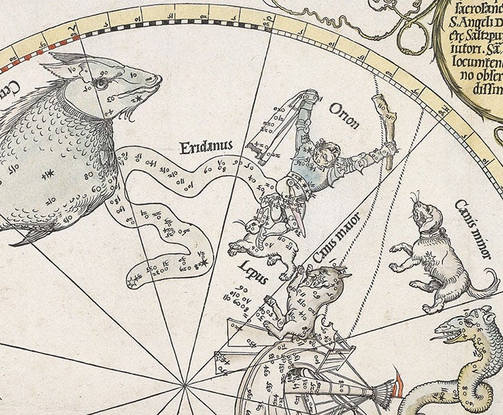 The constellations Cetus, Orion, Canis major and minor, and Lepus, detail from Imagines Coeli Meridionales (southern celestial hemisphere), woodcut by Albrecht Dürer et al., 1515, offered and sold by Daniel Crouch Rare Books (crouchrarebooks.com)