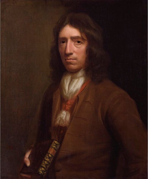 Portrait of William Dampier, by Thomas Murray, oil on canvas 1697-98 (National Portrait Gallery, London)