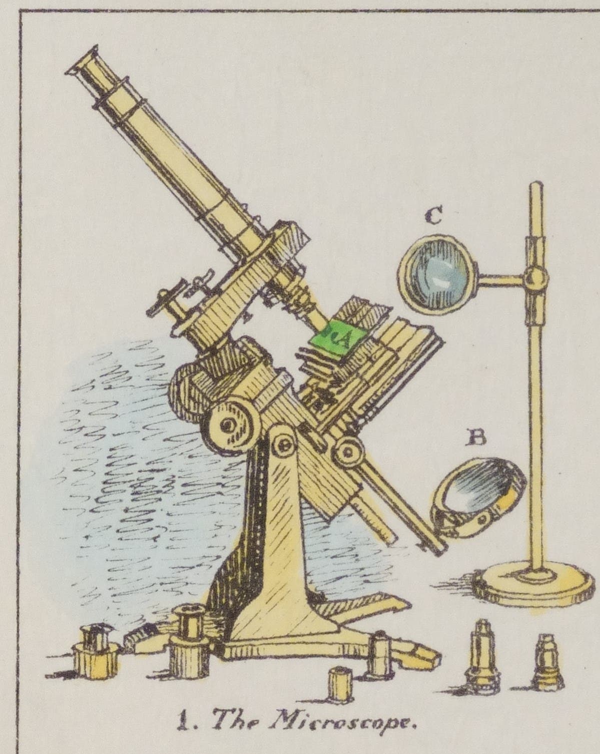 First Backer Microscope New Acquisition: Sketches With the Microscope - The Linda Hall