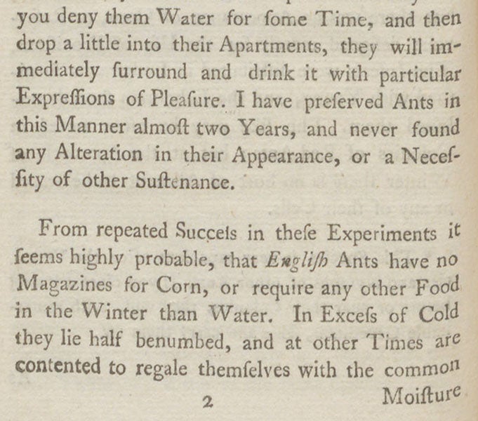 Paragraph concluding that ants do not store grain, p. 92, An Account of English Ants, by William Gould, 1747 (Linda Hall Library)