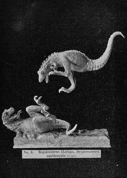 Restoration of a leaping Dryptosaurus. This work was on display in the original exhibition as item 30. Image source: Osborn, Henry Fairfield. "Models of extinct vertebrates," in: Science, New Series, vol. 7 (1898), p. 843. 