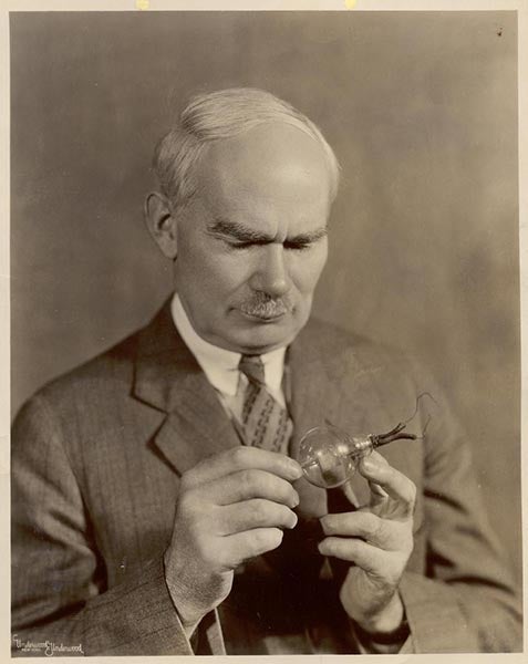 Lee de Forest holding a three-element “Audion” vacuum tube, which he developed in 1906. (Perham Collection of Early Electronics at History San José)