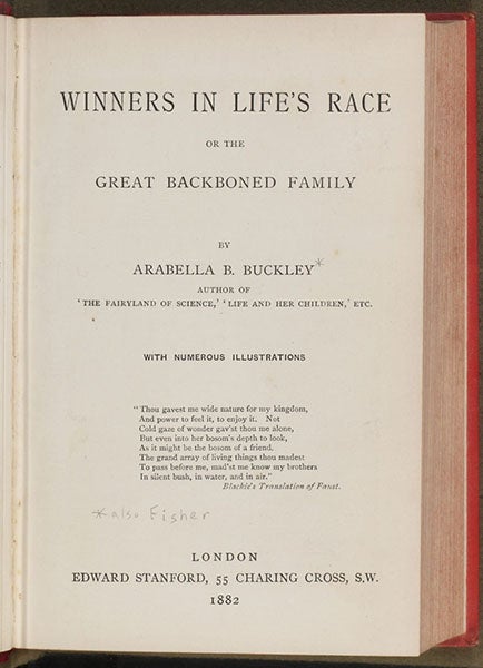 Title page, Winners in Life's Race, or the Great Backboned Family, by Arabella Buckley, 1882 (Linda Hall Library)