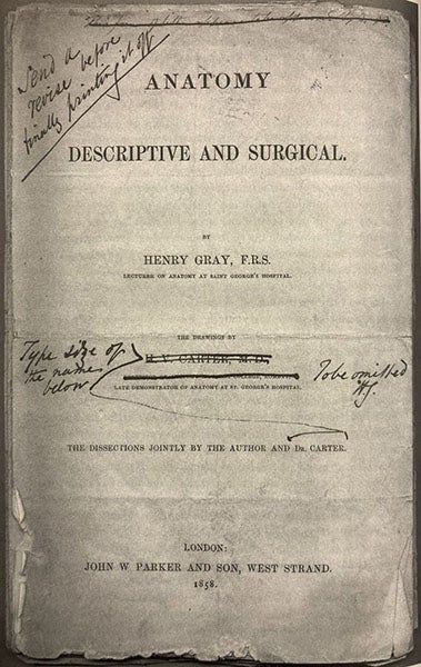 Proof copy of title page of Anatomy, Descriptive and Surgical, marked up by Henry Gray, in the archives of the Royal College of Surgeons,   reproduced in The Making of Mr. Gray's Anatomy: Bodies, Books, Fortune, Fame, by Ruth Richardson, p. 199 (author’s copy)
