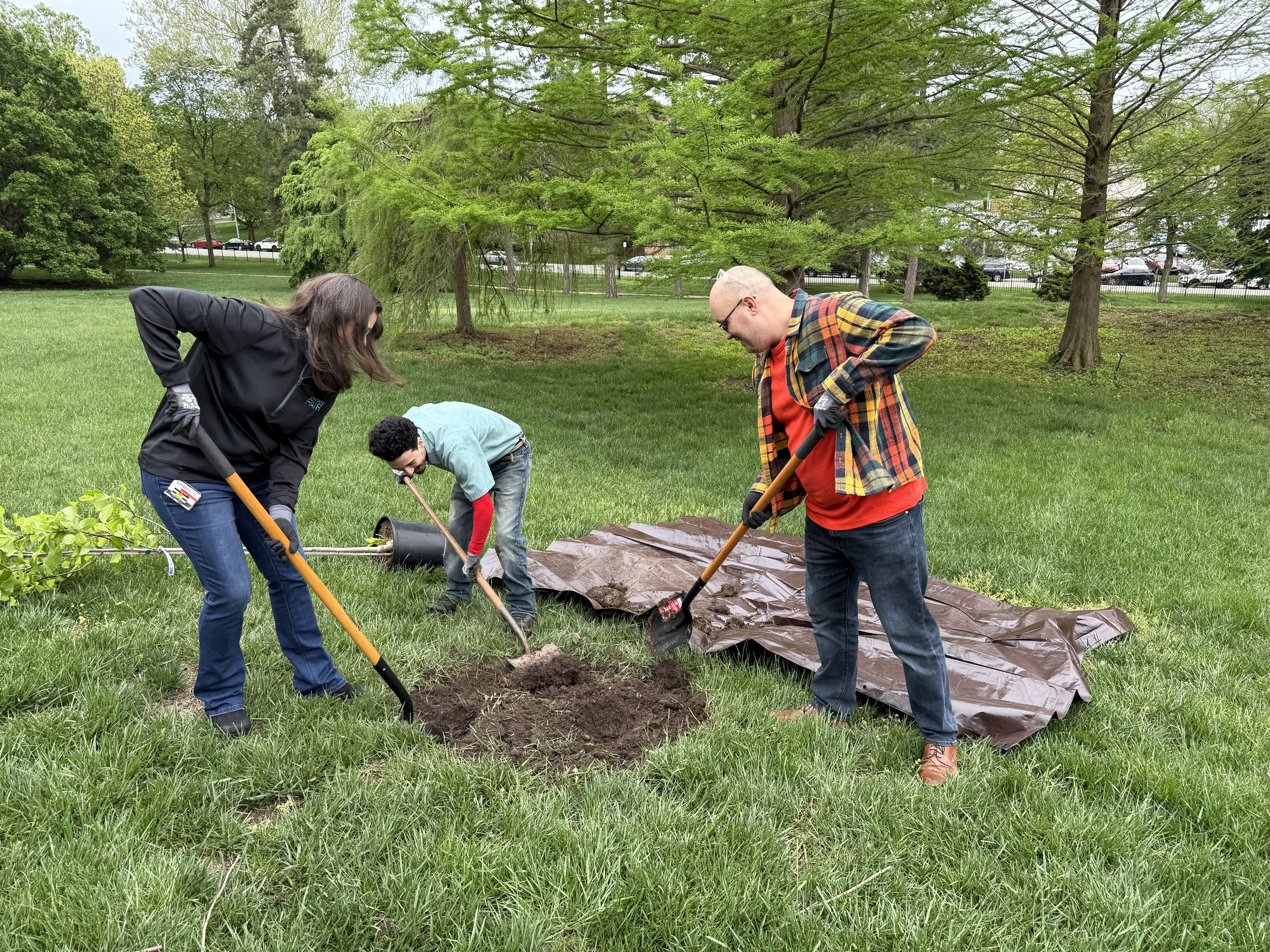 Volunteers planting trees at Linda Hall Library