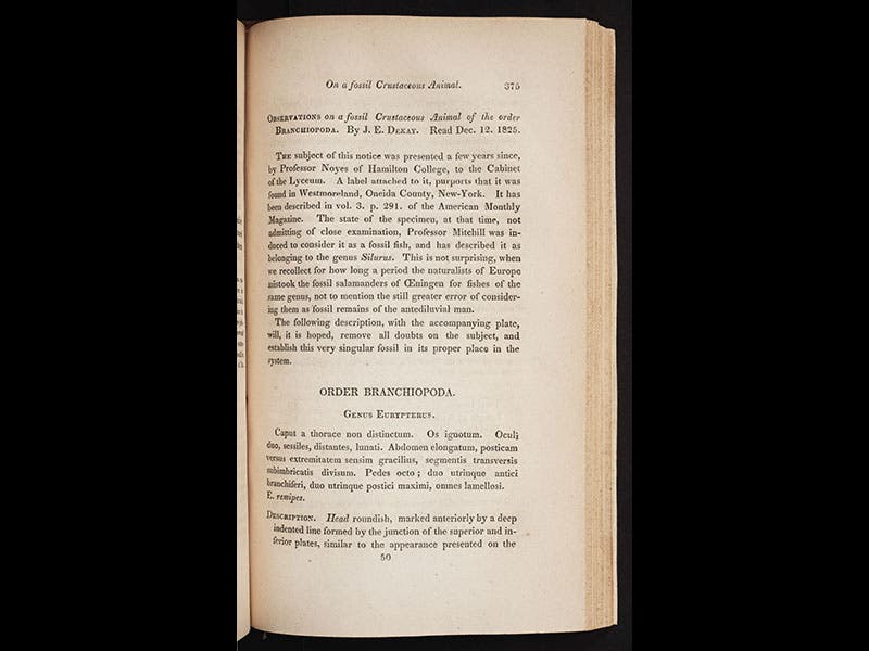 James Ellsworth De Kay Linda Hall Library