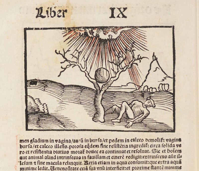 A falling stone or meteorite, text woodcut in Margarita philosophica cu[m] additionibus nouis, by Gregor Reisch, 1517 (Linda Hall Library)