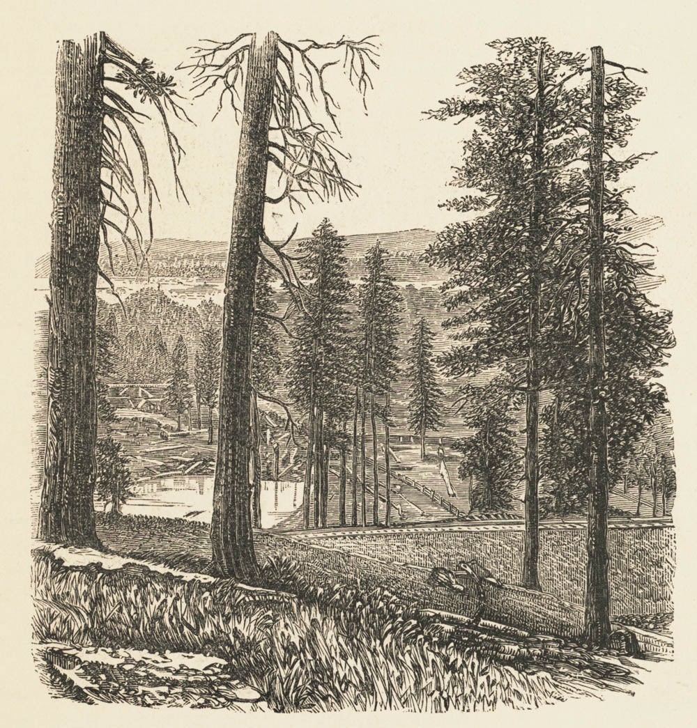 The Central Pacific Railroad crossing Dutch Flat, California.