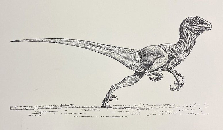Frontispiece, Deinonychus antirrhopus, drawing by Robert Bakker, Bulletin of the Peabody Museum of Natural History, Yale University, no. 30, 1969 (Linda Hall Library)