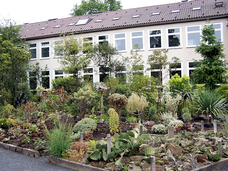 The “Old Botanical Garden” at the University of Göttingen, founded by Albrecht von Haller and directed, briefly, by Gottfried Zinn, where he grew the first zinnias in Europe (Wikimedia commons)