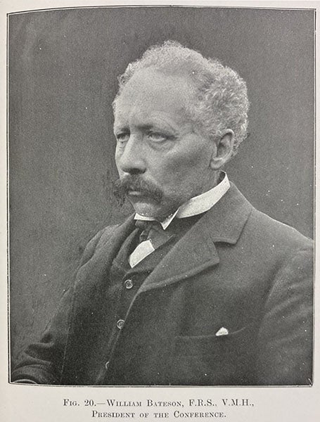 Portrait of William Bateson, Report of the Third International Conference on Genetics, 1906; fig. 20, p. 76,1907 (Linda Hall Library)
