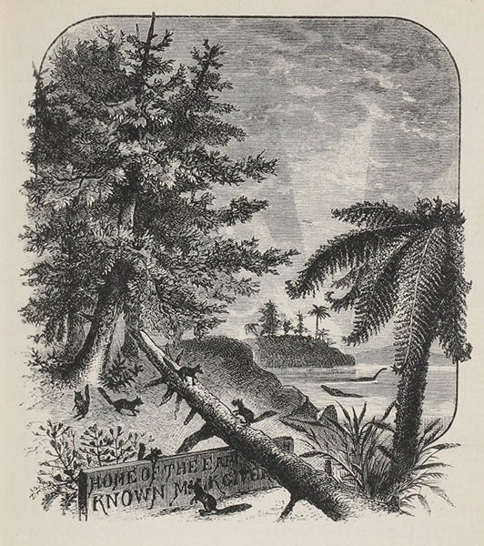 Headpiece to chapter 8, “Home of the Earth’s First-Known Milk Givers,” detail of wood engraving by Theo Carreras, Winners in Life's Race, or the Great Backboned Family, by Arabella Buckley, 1882 (Linda Hall Library)