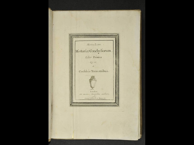 Historiae Conchyliorum, an encyclopedia of shells