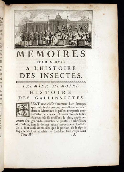 First page of text, vol. 1, with headpiece at top depicting prickly-pear display at the Paris Jardin des Planes, Mémoires pour servir a l'histoire des insectes, by Réne-Antoine Ferchault de Réaumur, 1736 (Linda Hall Library)