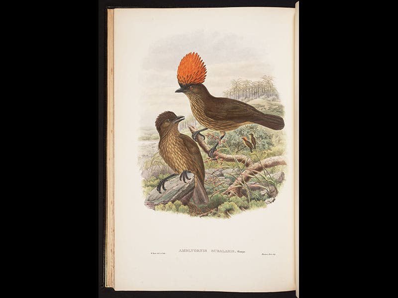 Richard Bowdler Sharpe Linda Hall Library