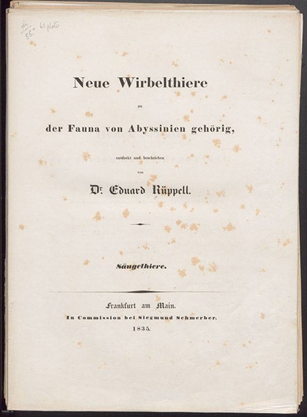 Title page, Neue Wirbelthiere zu der Fauna von Abyssinien, by Eduard Rüppell, 1835 (Linda Hall Library)