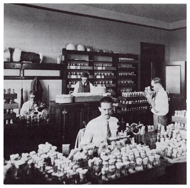 The Fly Room at UT-Austin; Muller is at the right, with loupe (Lilly Library, Indiana University)
