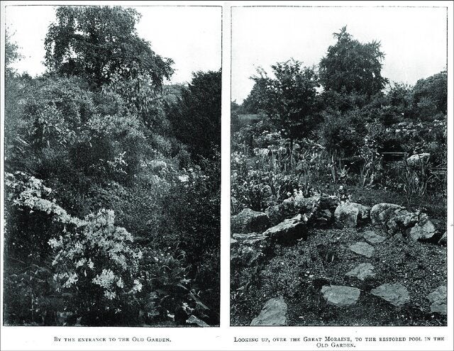 Two photographs of Farrer’s rock garden at Ingleborough Hall, 1909, from Rebecca Pullen, Reginald Farrer's Rock Garden, Clapham, North Yorkshire, 2016 (researchgate.net)