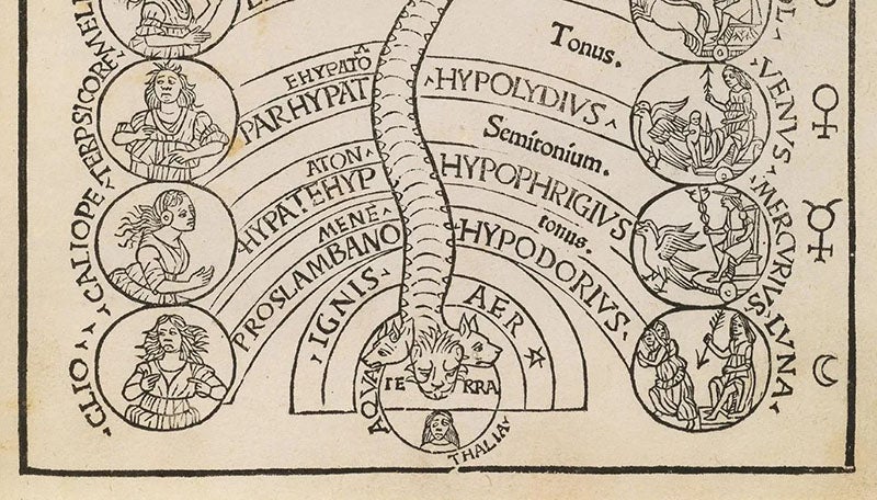 Bottom third of the cosmic monochord, detail of woodcut frontispiece, Practica musicae, by Franchino Gaffurio, 1496, sold by Pandolfini auction house, Dec. 16-17, 2019 (pandolfini.it/uk)