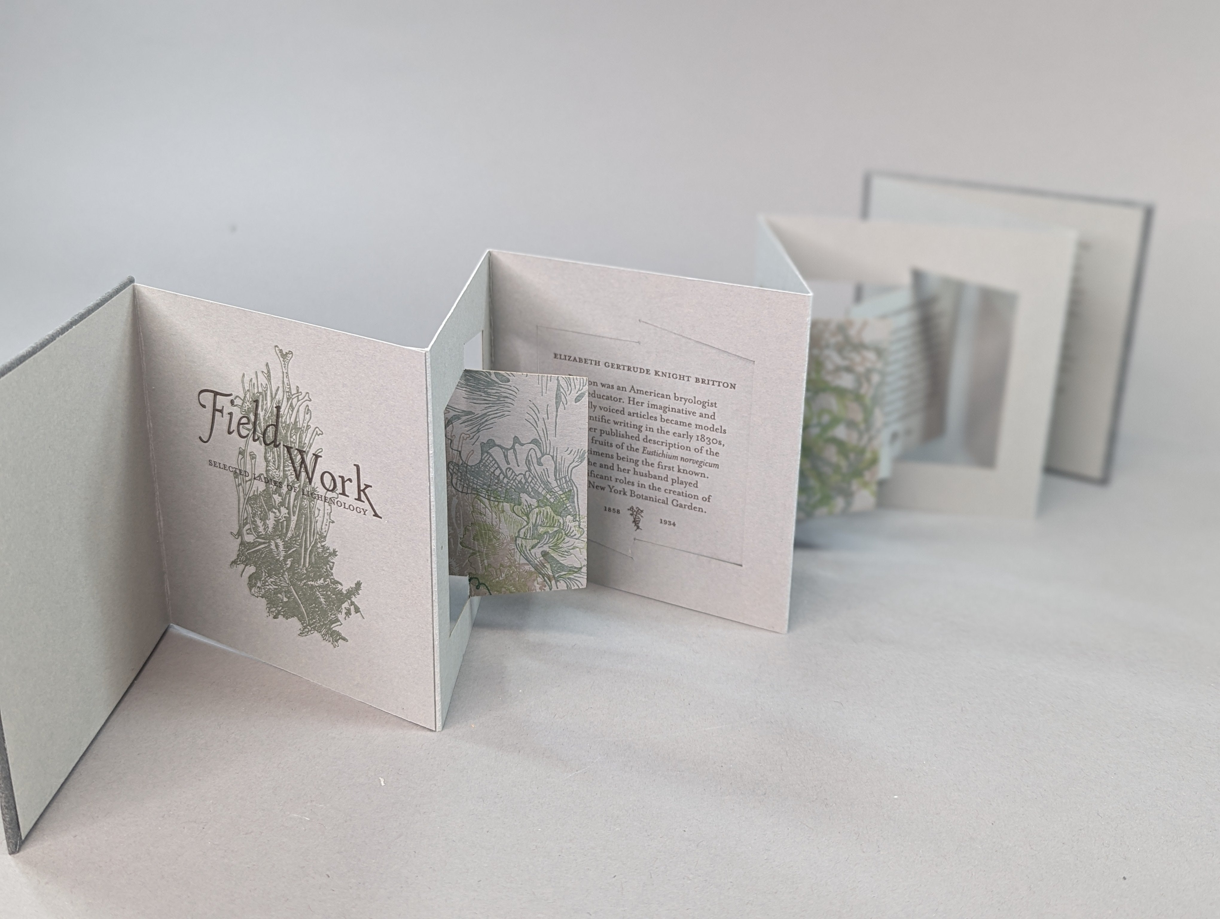 Alpers’ book FieldWork features biographies of the 20th-century naturalists Mary Farnham Miller, Elizabeth Gertrude Knight Britton, Matilda Knowles, and Elizabeth C. Wright. Each biography is paired with layered silhouette imagery of the species the women researched and published on. Photograph courtesy of Rhiannon Alpers.